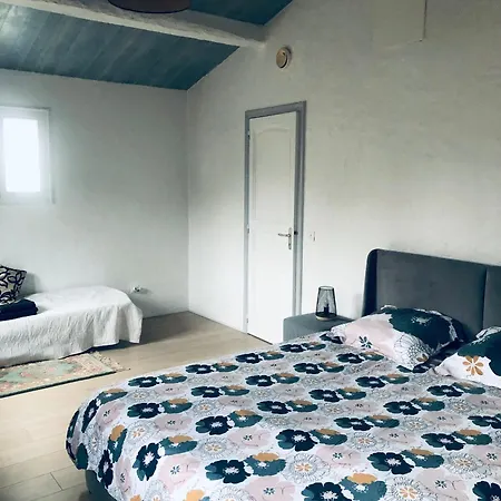 Proche De La Cote Chauvé