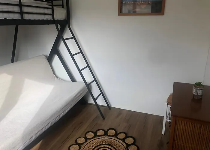 Proche De La Cote Chauvé