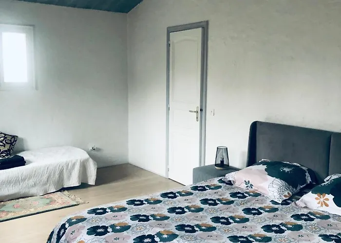 Proche De La Cote Chauvé